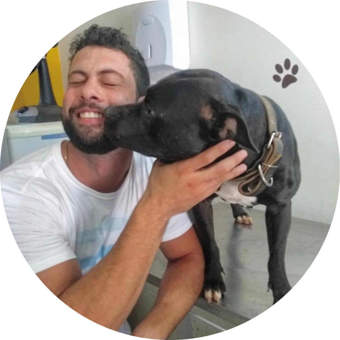 Go to the profile of Scholtz Peterson